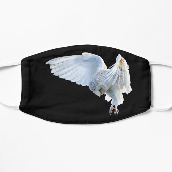 Hovering Barn Owl looking for dinner Flat Mask