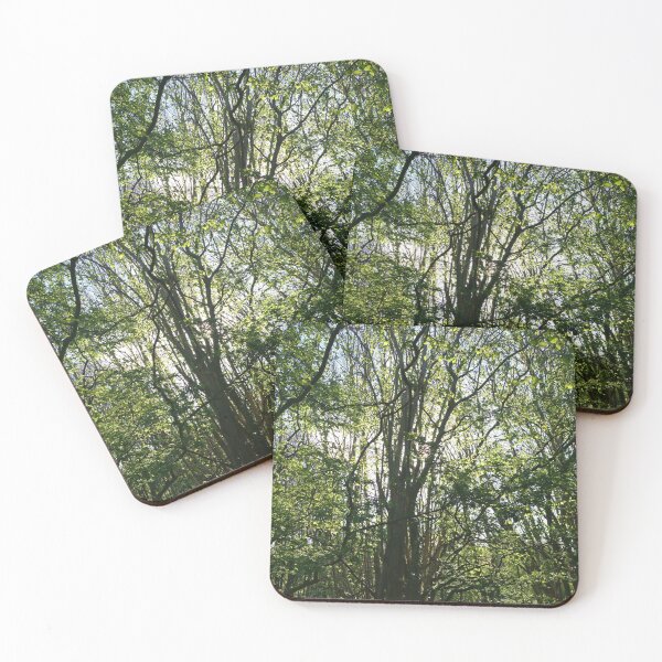 Item preview, Growing towards the light, Hob Moor, York designed and sold by paulboizot.
