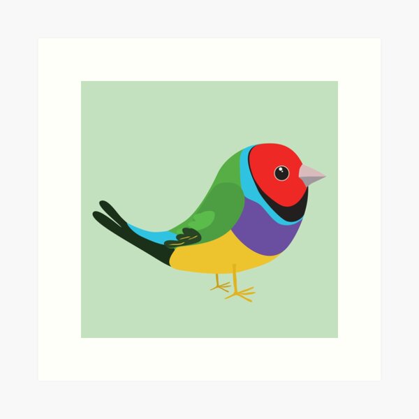 Item preview, Cute gouldian finch designed and sold by Bwiselizzy.