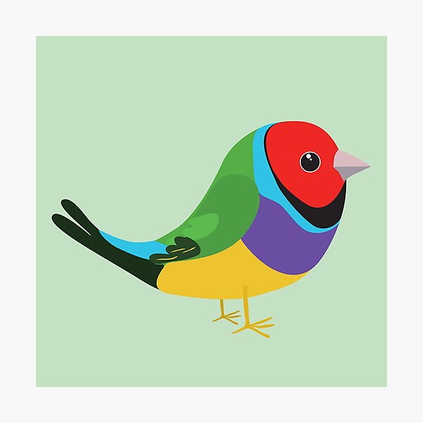 Item preview, Cute gouldian finch designed and sold by Bwiselizzy.
