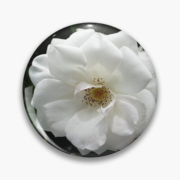 Item preview, White rose designed and sold by Dee121.