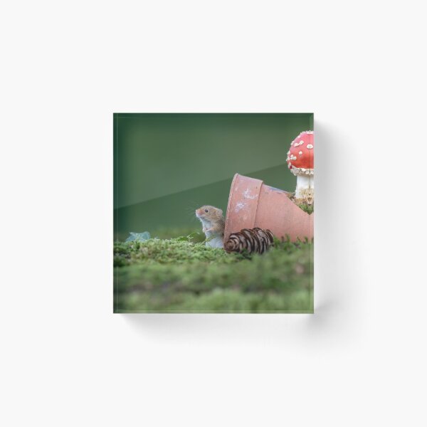Item preview, Harvest mouse and Fungi designed and sold by Dean Mason.