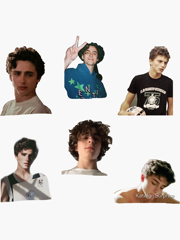 Timothee Chalamet Sticker Pack by Yellowdaisi