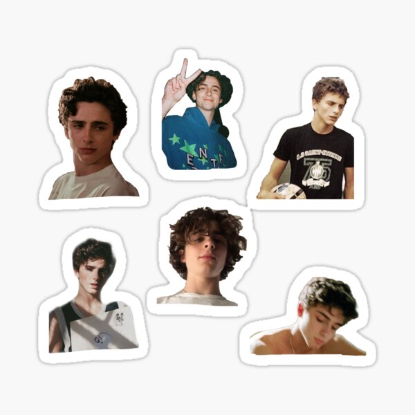 Timothee Chalamet Sticker Pack Sticker