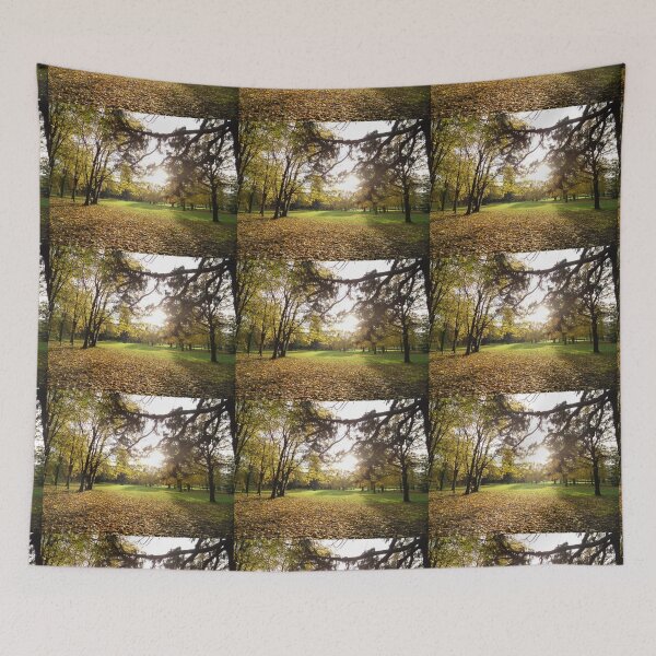 Item preview, park designed and sold by KNBS.