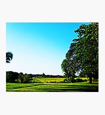 nature Photographic Print