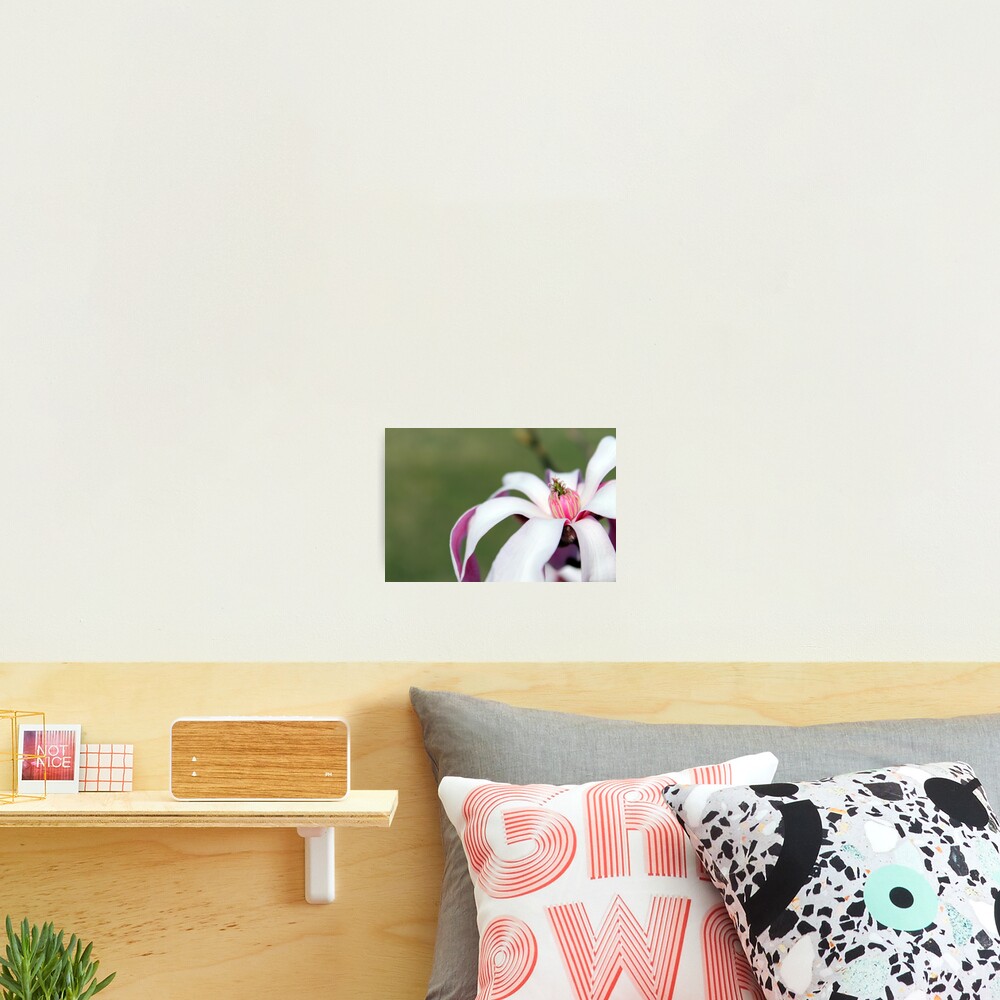 Item preview, Photographic Print designed and sold by KyleeGraphs.