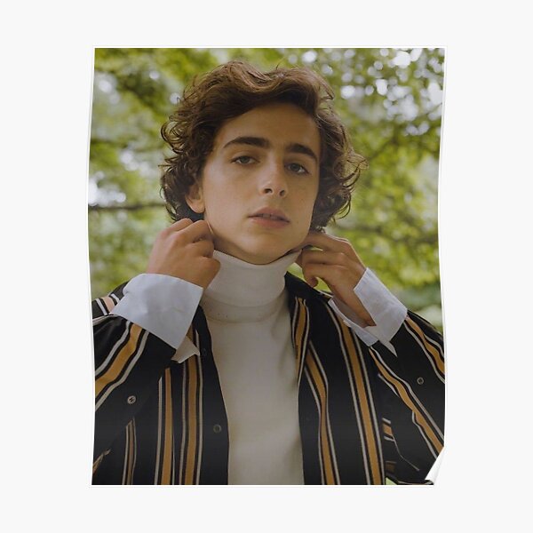 Affiche Timothée Chalamet Poster