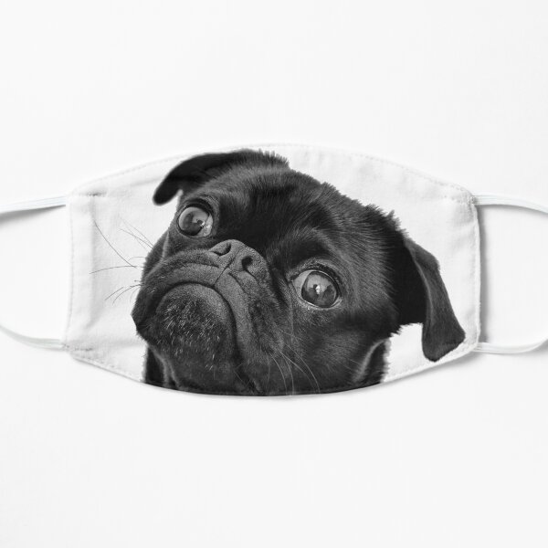 Black pug Flat Mask