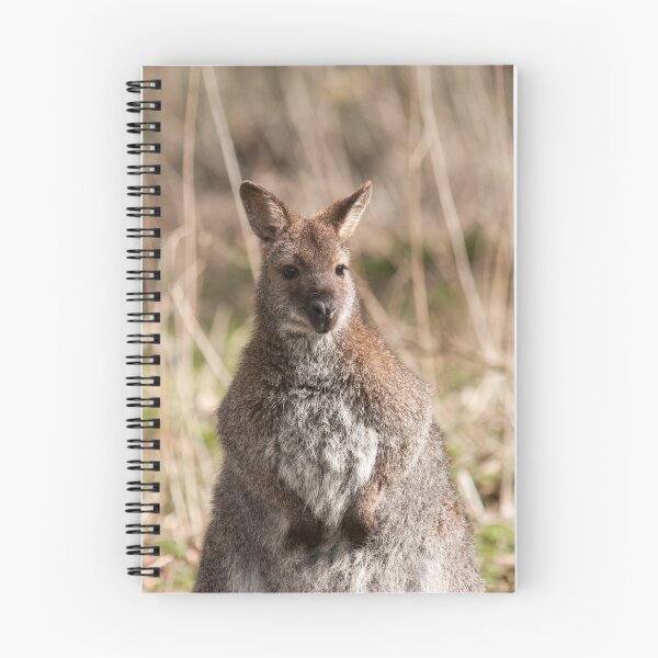 Item preview, Wallaby Photography designed and sold by NatashaBalletta.