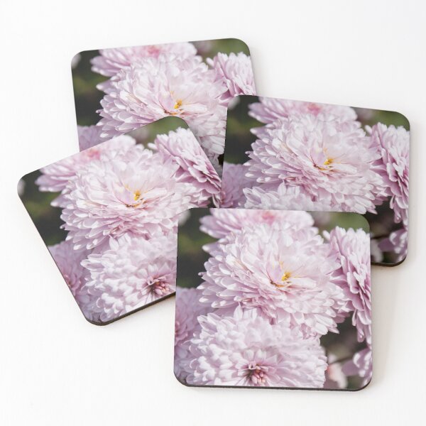 Item preview, Pink Chrysanthemums designed and sold by DeborahMcGrath.