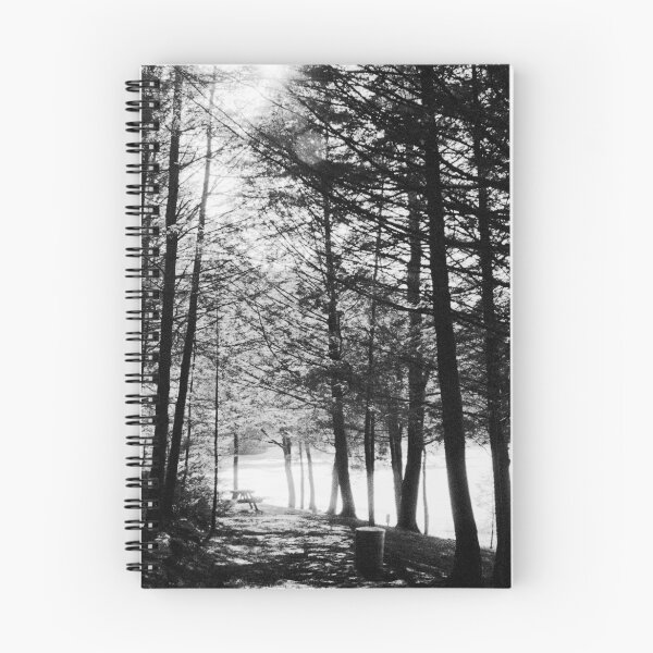 Item preview, Sunlight through Grainy Trees designed and sold by James2001.