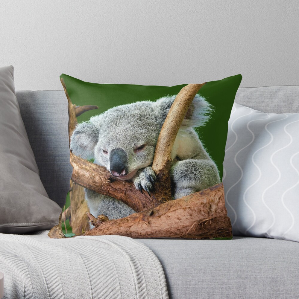 koala pillow pet