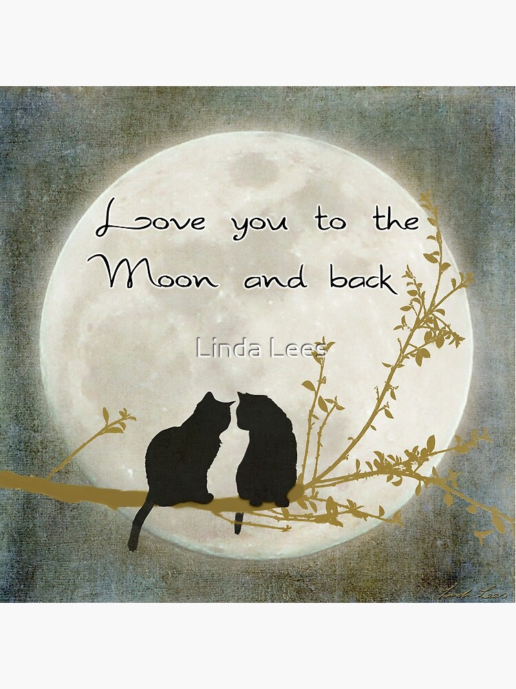 I Love You To The Moon And Back Baby Book