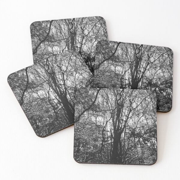 Item preview, Growing towards the light (monochrome), Hob Moor, York designed and sold by paulboizot.