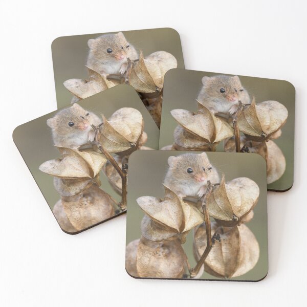 Item preview, Harvest mouse and the spider designed and sold by Dean Mason.