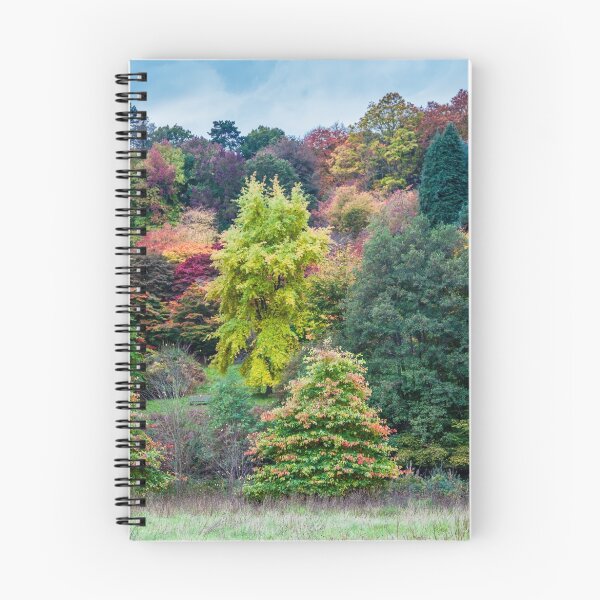 Item preview, Nature's Colours in Autumn designed and sold by colinstock.