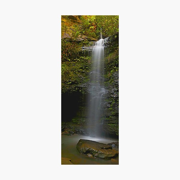 Hazelbrook Beauty Photographic Print