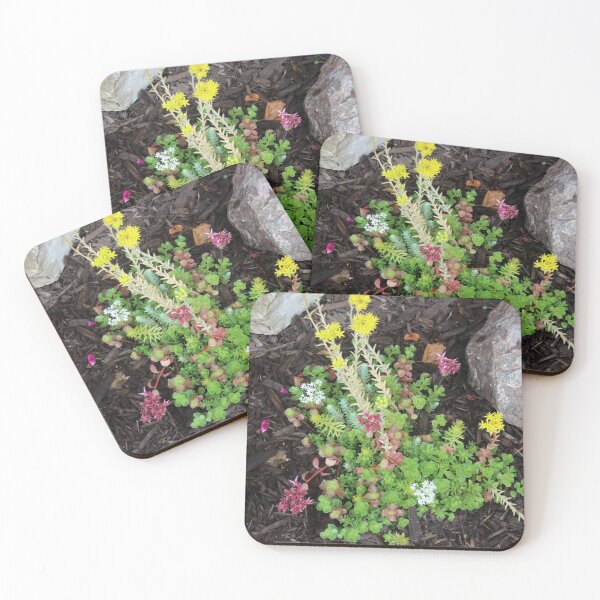 Item preview, Succulent Ground Cover designed and sold by Susie Kramer.