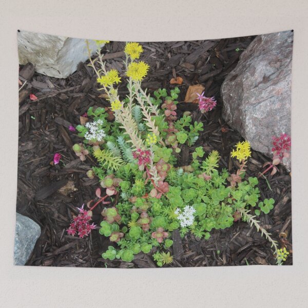 Item preview, Succulent Ground Cover designed and sold by Susie Kramer.