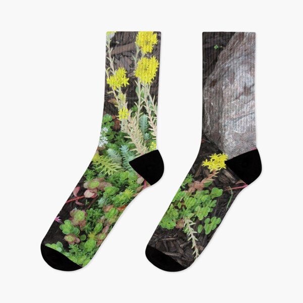 Item preview, Succulent Ground Cover designed and sold by Susie Kramer.