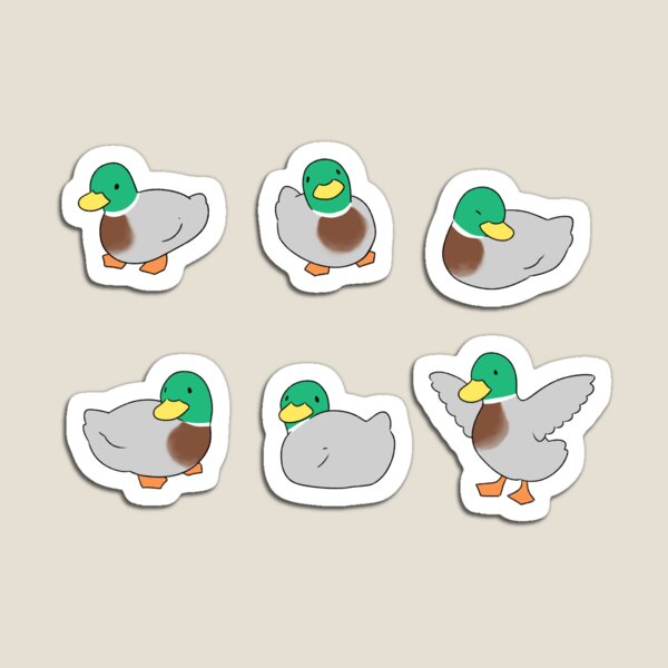 Ducks (mallard) Magnet