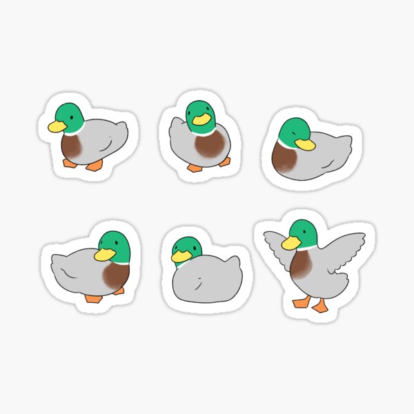 Ducks (mallard) Sticker