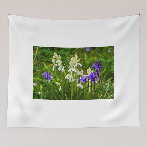 Item preview, Bluebells designed and sold by MJ-Piccys.