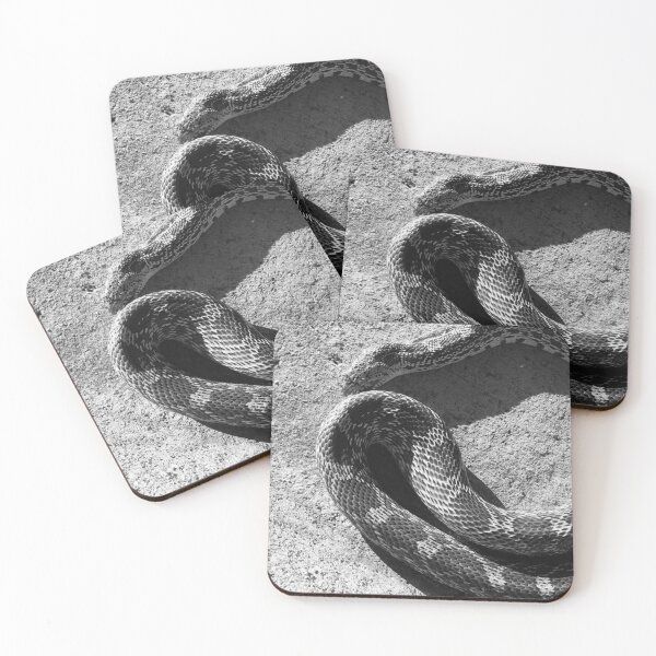 Item preview, Snake Sunning designed and sold by XXX Zombieboy XXX.