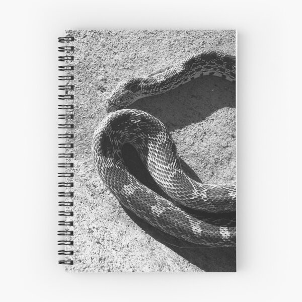 Item preview, Snake Sunning designed and sold by XXX Zombieboy XXX.