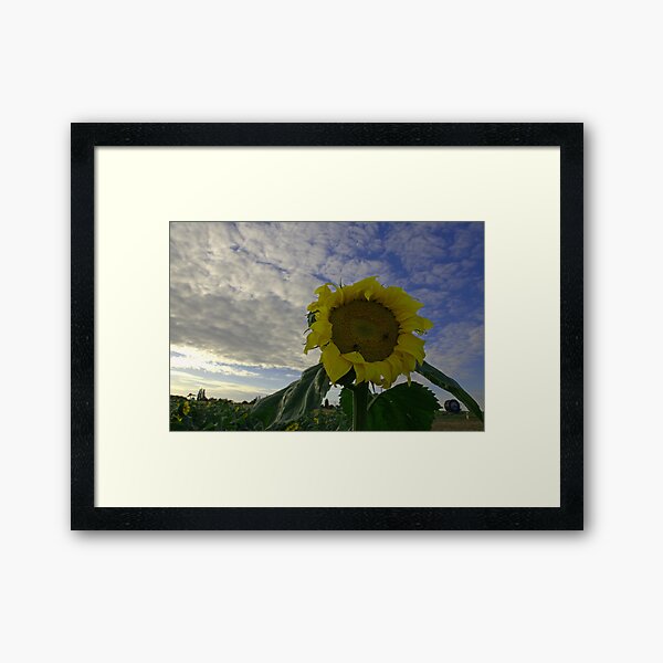 Item preview, 441x415 designed and sold by Jean-Luc Rollier.