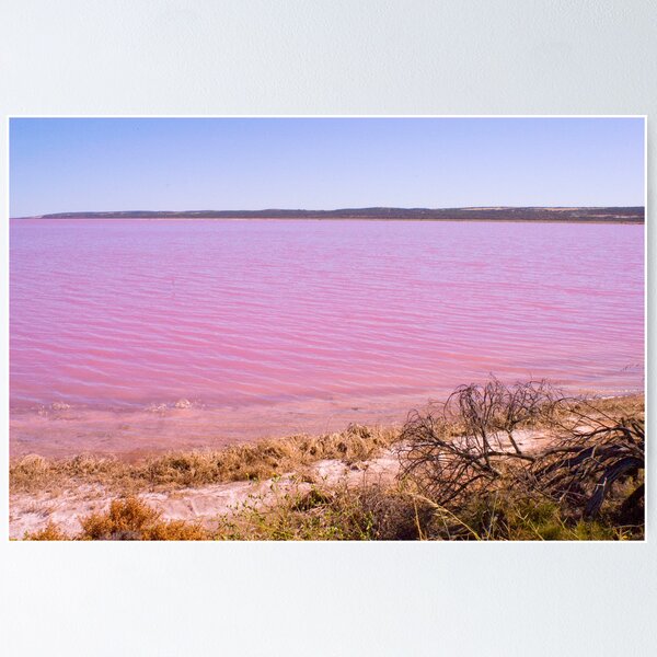 Item preview, Pink Lake designed and sold by Henry Molla   L.A.P.S.  P.S.Q.A..