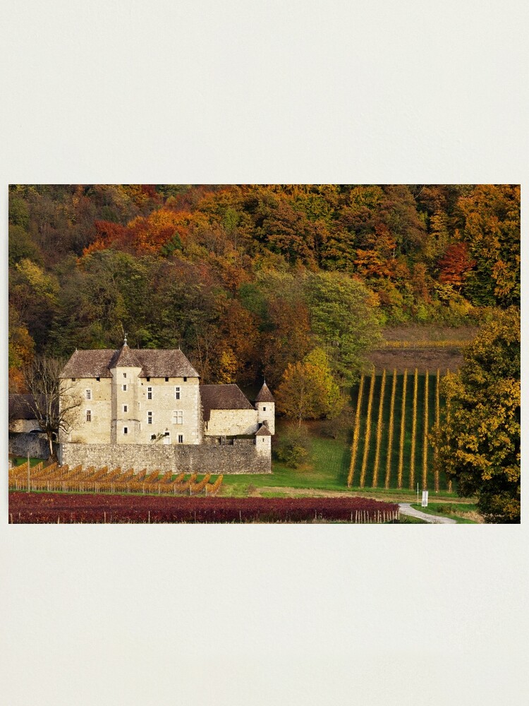 Alternate view of Autumn in the french vineyard Photographic Print