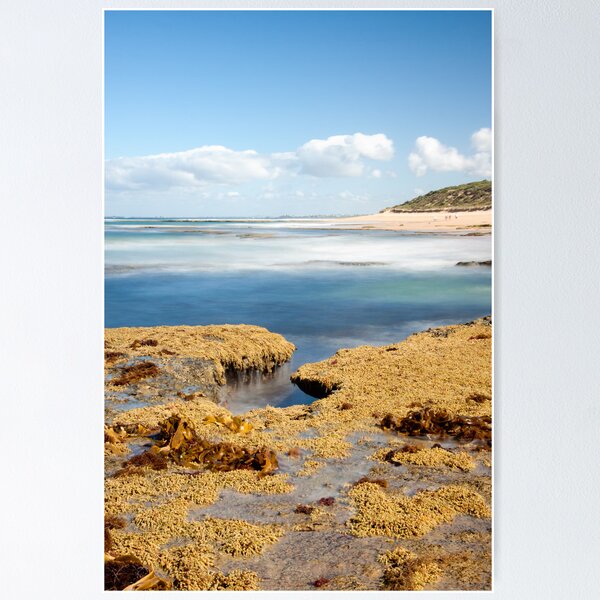 Item preview, Smooth water over the rocks - A tribute to lost camera bodies. designed and sold by Andrew Schweitzer.