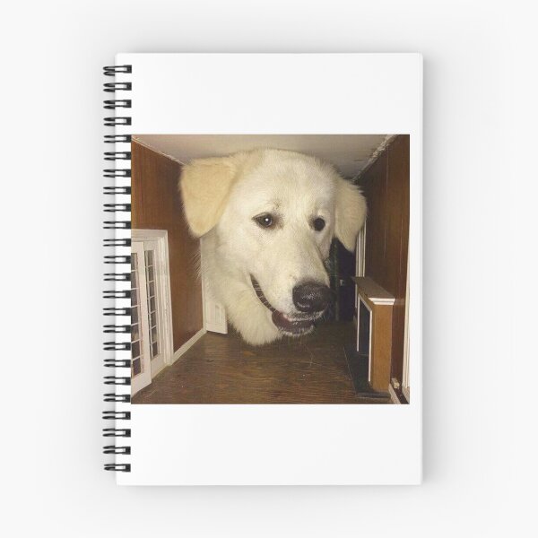 Artikelvorschau, Doggo entworfen und verkauft von Poniamy.
