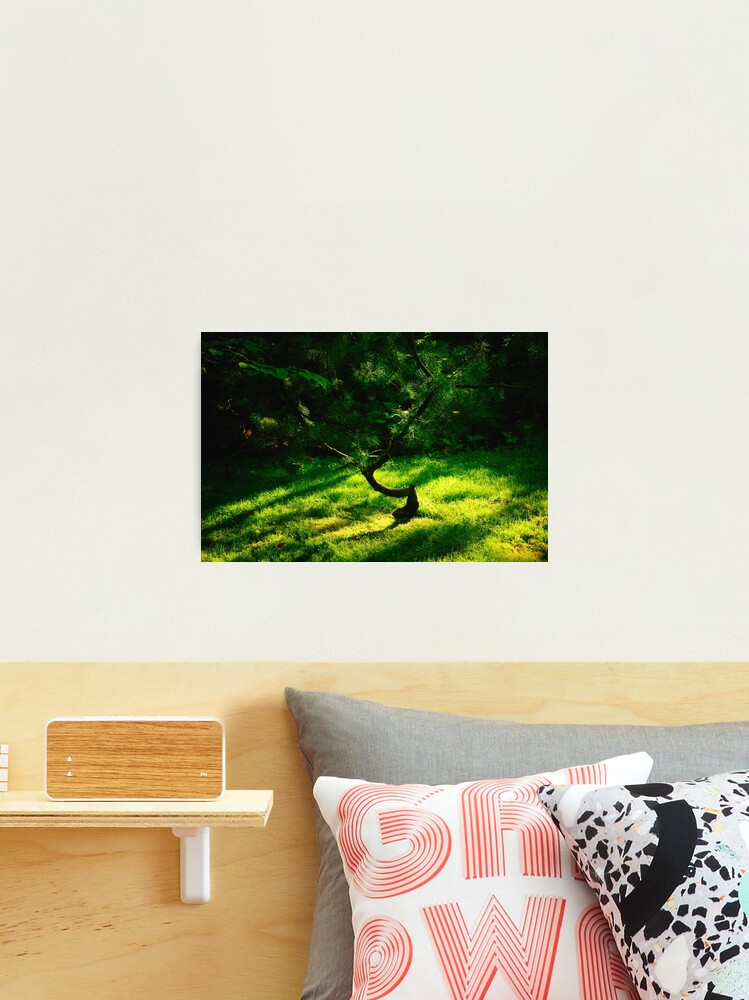 Thumbnail 2 of 3, Photographic Print, Yin and Yang designed and sold by Mallorn.