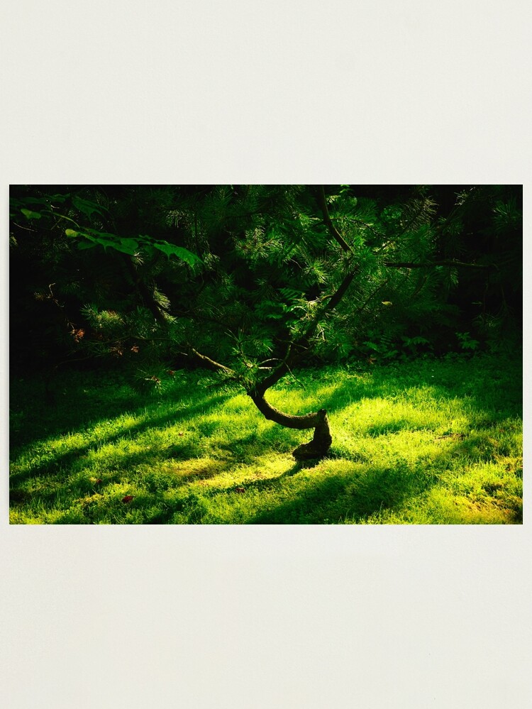 Thumbnail 1 of 3, Photographic Print, Yin and Yang designed and sold by Mallorn.