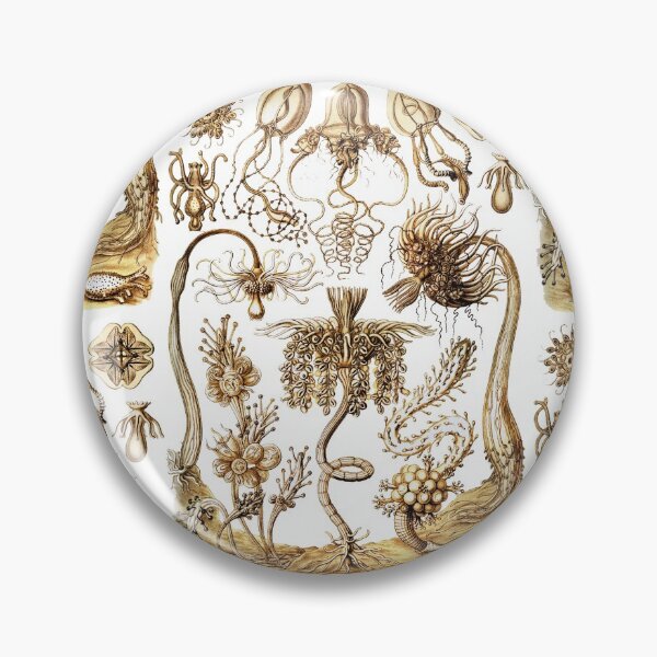 Item preview, Ernst Haeckel - Tubulariae designed and sold by ShaMiLaB.