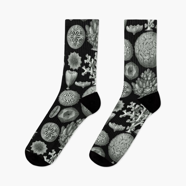Item preview, Ernst Haeckel - Hexacorallia designed and sold by ShaMiLaB.