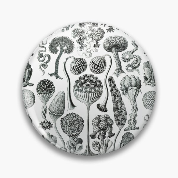 Item preview, Ernst Haeckel - Mycetozoa designed and sold by ShaMiLaB.