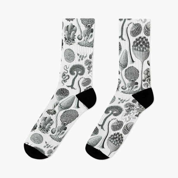 Item preview, Ernst Haeckel - Mycetozoa designed and sold by ShaMiLaB.