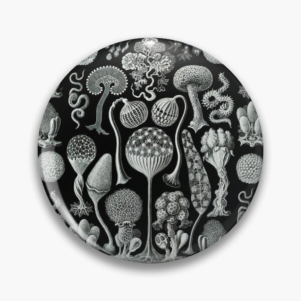 Item preview, Ernst Haeckel - Mycetozoa (black) designed and sold by ShaMiLaB.