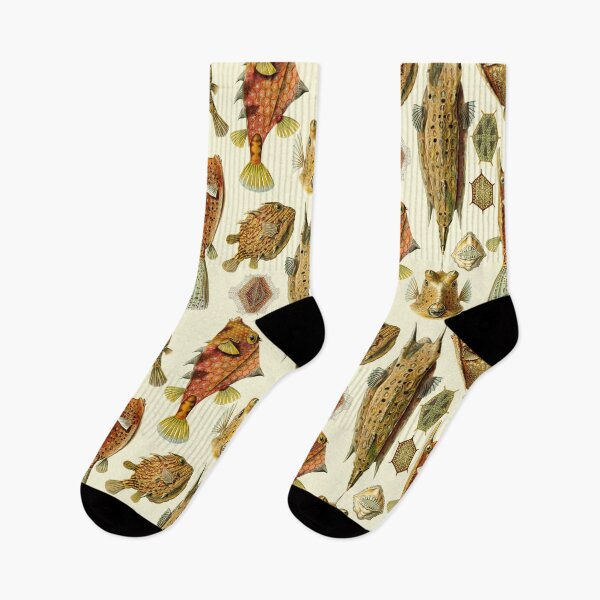 Item preview, Ernst Haeckel - Ostraciontes designed and sold by ShaMiLaB.