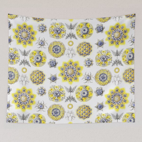 Item preview, Ernst Haeckel - Polycyttaria designed and sold by ShaMiLaB.