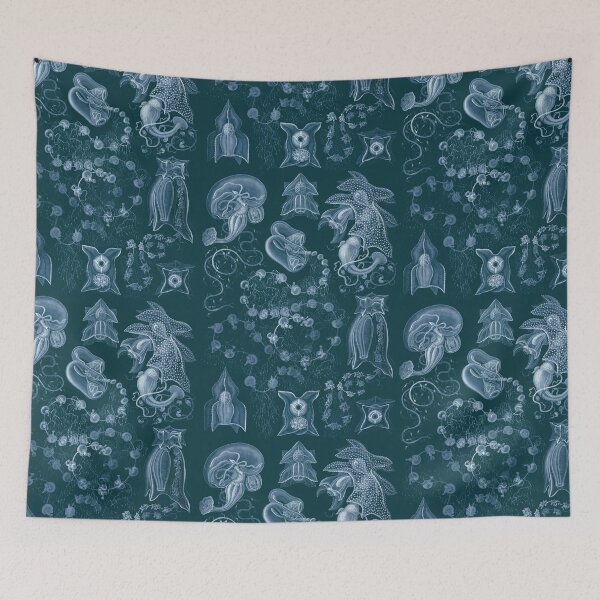 Item preview, Ernst Haeckel - Siphonophorae designed and sold by ShaMiLaB.