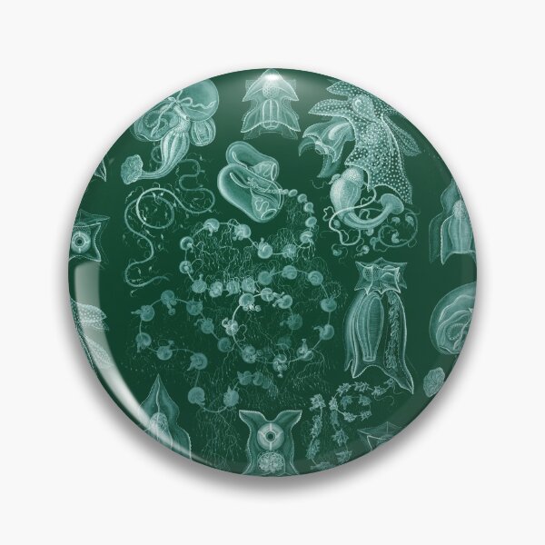 Item preview, Ernst Haeckel - Siphonophorae designed and sold by ShaMiLaB.