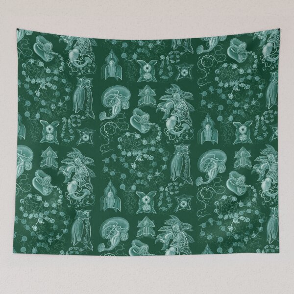 Item preview, Ernst Haeckel - Siphonophorae designed and sold by ShaMiLaB.