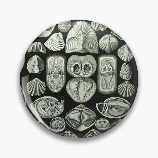Item preview, Ernst Haeckel - Spirobranchia designed and sold by ShaMiLaB.