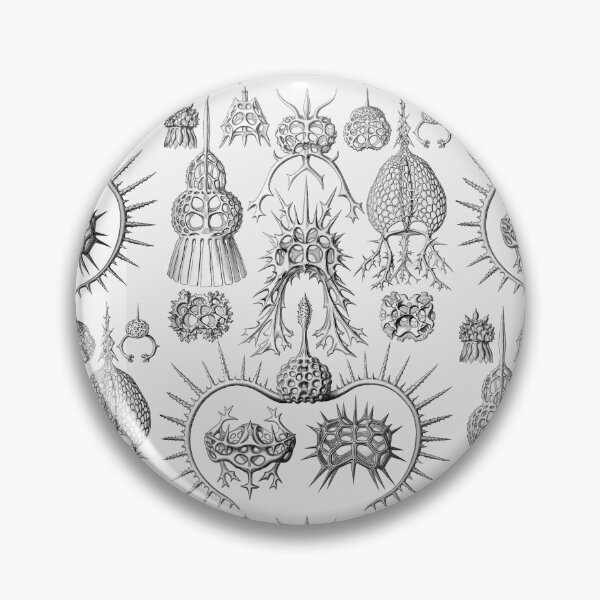 Item preview, Ernst Haeckel - Spyroidea designed and sold by ShaMiLaB.