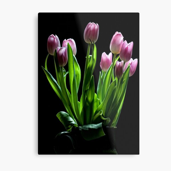 Spring Tulips in Vase Metal Print